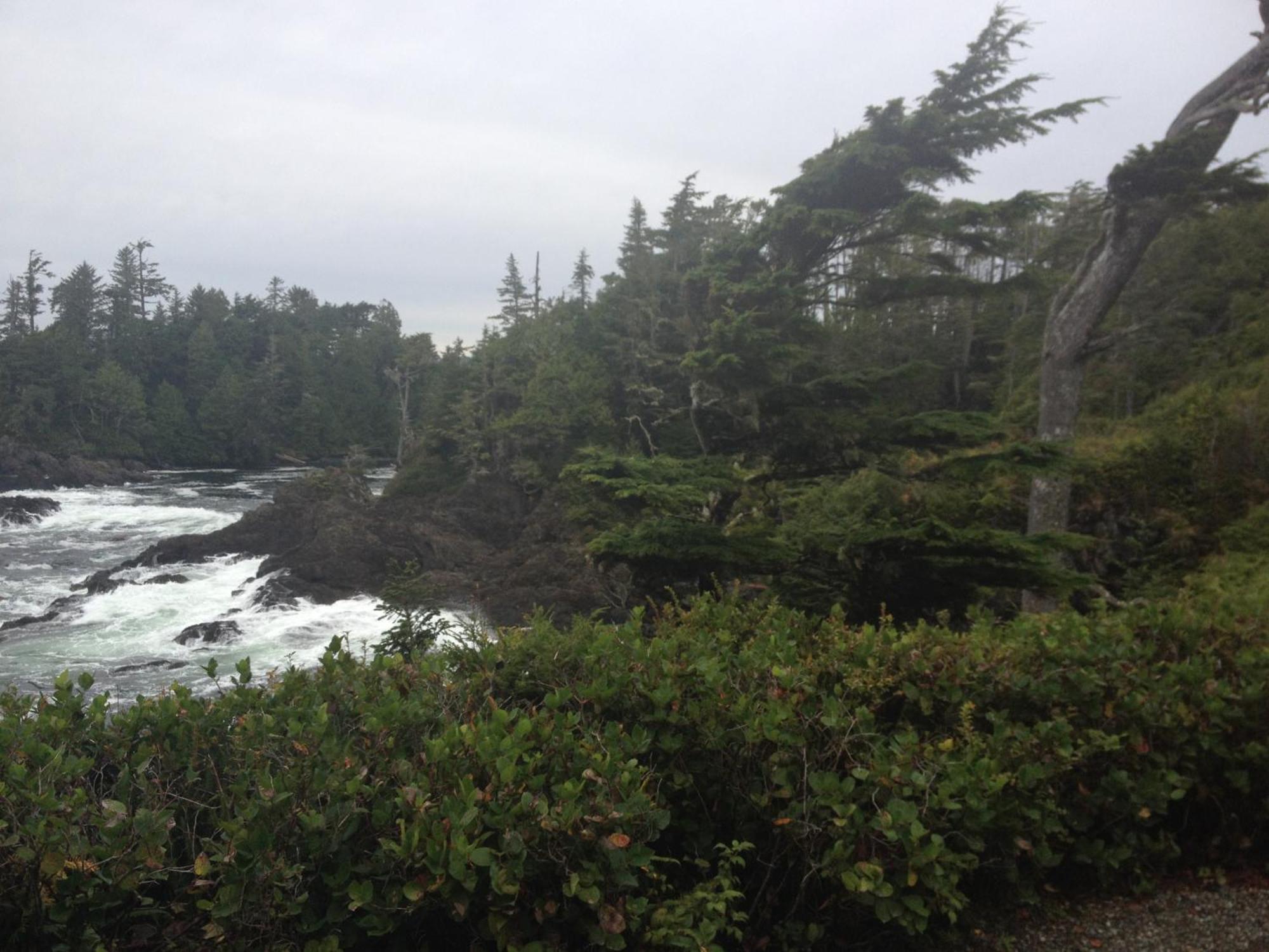 Forest By The Sea Rentals Merville Bagian luar foto