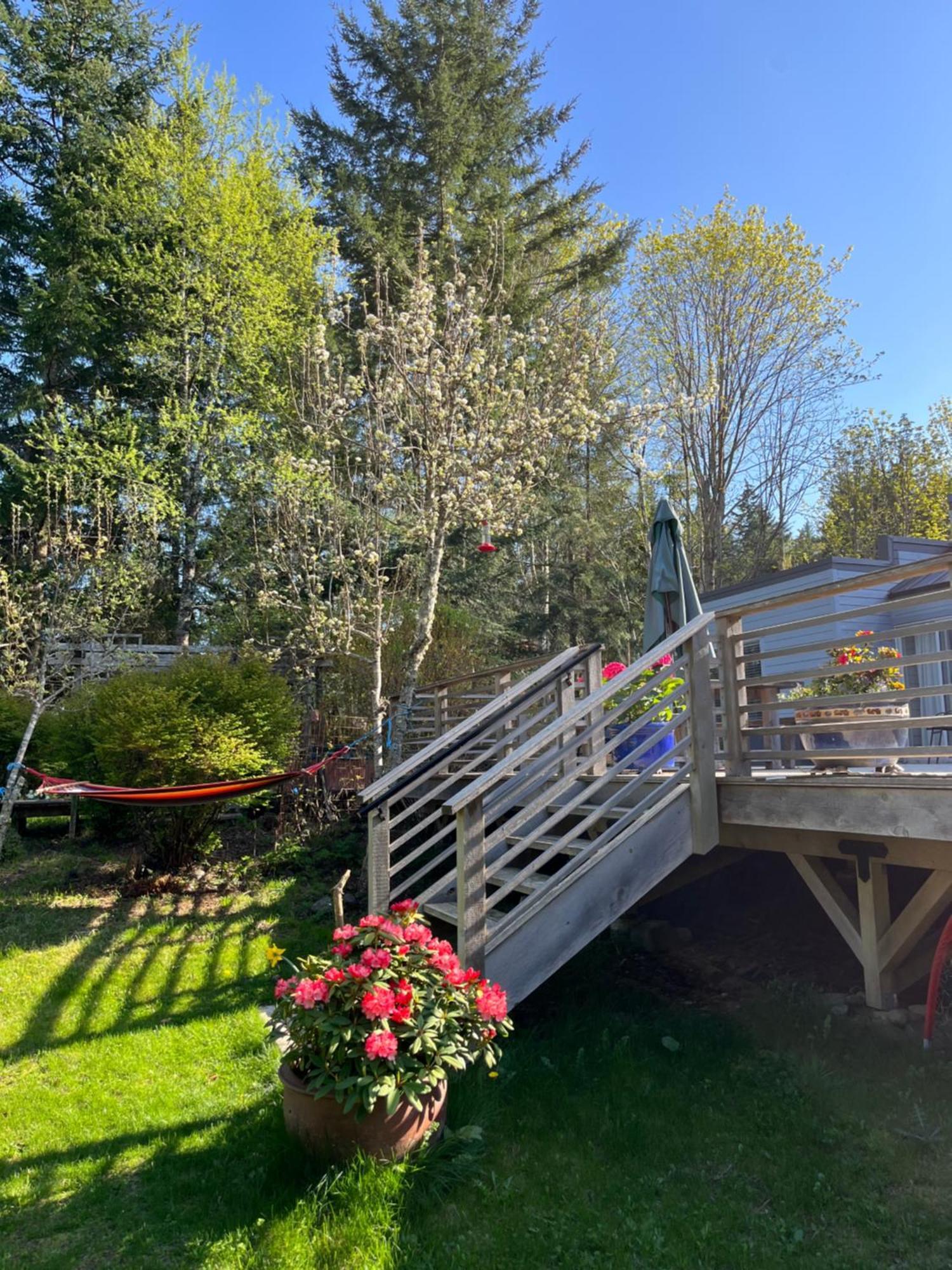 Forest By The Sea Rentals Merville Bagian luar foto