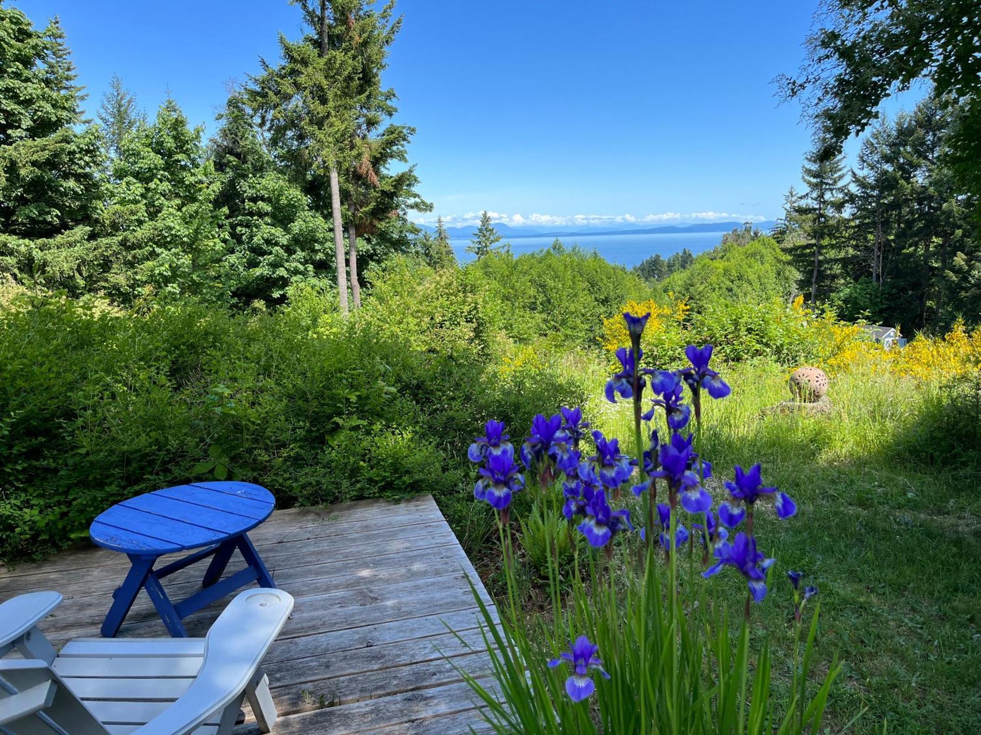 Forest By The Sea Rentals Merville Bagian luar foto