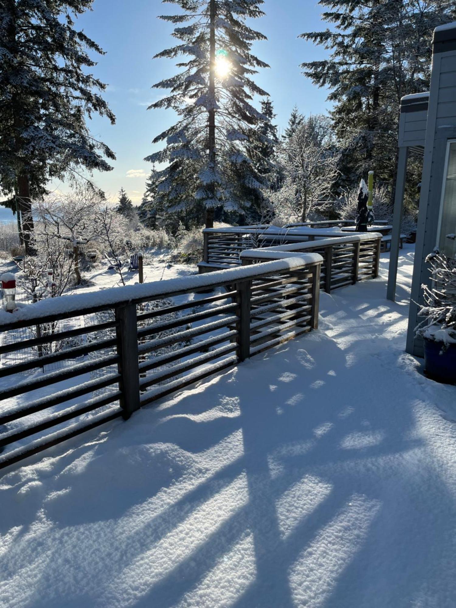Forest By The Sea Rentals Merville Bagian luar foto